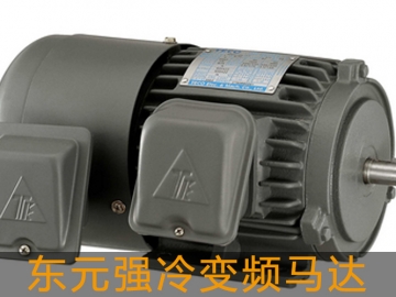 東元強(qiáng)冷變頻馬達(dá)
