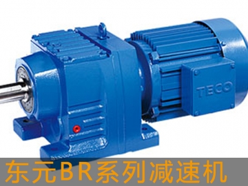 東元BR系列斜齒輪減速機(jī)
