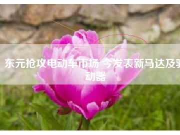 東元搶攻電動(dòng)車市場(chǎng) 今發(fā)表新馬達(dá)及驅(qū)動(dòng)器
