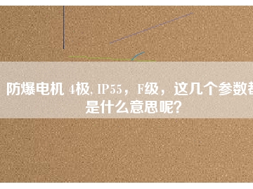 防爆電機(jī) 4極, IP55，F(xiàn)級，這幾個(gè)參數(shù)都是什么意思呢？