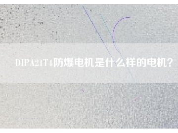 DIPA21T4防爆電機(jī)是什么樣的電機(jī)？