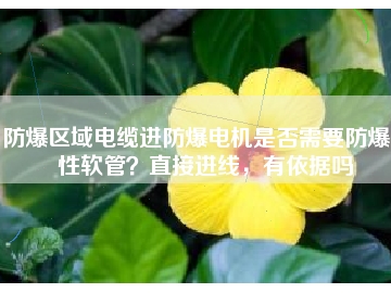 防爆區(qū)域電纜進(jìn)防爆電機是否需要防爆撓性軟管？直接進(jìn)線，有依據(jù)嗎