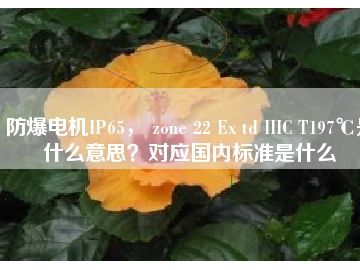 防爆電機(jī)IP65， zone 22 Ex td IIIC T197℃是什么意思？對(duì)應(yīng)國內(nèi)標(biāo)準(zhǔn)是什么