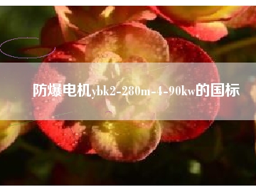 防爆電機(jī)ybk2-280m-4-90kw的國標(biāo)