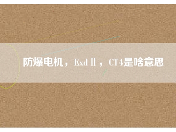 防爆電機，ExdⅡ，CT4是啥意思