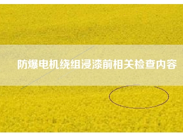 防爆電機繞組浸漆前相關檢查內(nèi)容