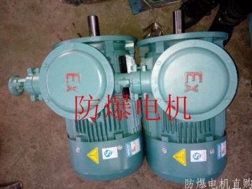 防爆電機分類：防爆電機選型、參數(shù)、定義