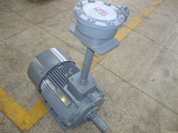 采煤機(jī)用防爆電機(jī)的轉(zhuǎn)軸軸承結(jié)構(gòu)都有哪些特點(diǎn)？