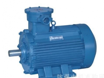 防爆電機(jī)的密封結(jié)構(gòu)在安裝使用中要注意哪些？