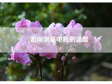如何測(cè)量電機(jī)的溫度