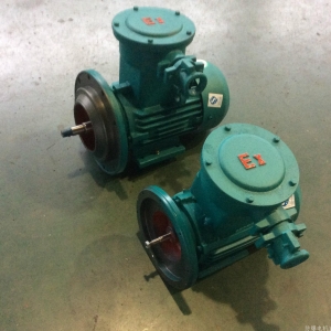 防爆電機使用中如何保證電機能正常工作