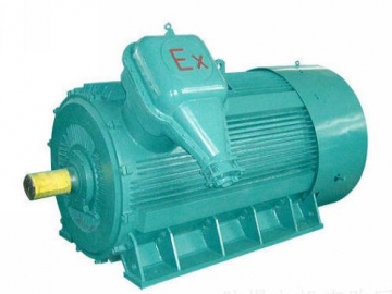 防爆電機(jī)如何出現(xiàn)掃膛、振動(dòng)、軸承過熱要怎么處理