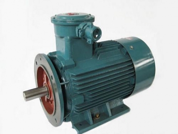 防爆電機(jī)驗收時除了銘牌外，還要注意哪些？