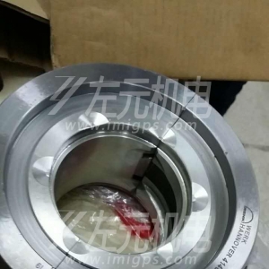 EFZLB 11-110,EFZLB 9-80電機(jī)軸瓦，油封及油環(huán)應(yīng)用于化工行業(yè)電機(jī)