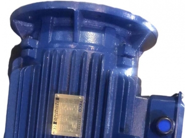 AEUV5N超超高效三相異步電機(jī)（MODEL:TEV5）