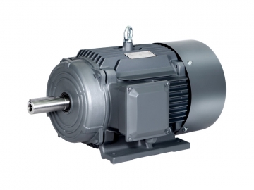 1TL0001鑄鐵系列適用于變頻及出口低壓三相異步電動機