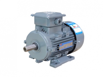 YXL系列高效率鋁機(jī)殼三相異步電動(dòng)機(jī)