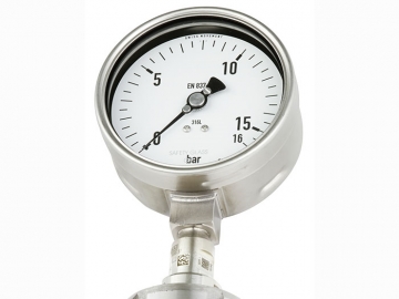 DSS19F符合EN837-1標(biāo)準(zhǔn)的壓力表，帶隔膜密封