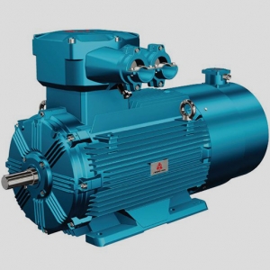 低壓變頻調(diào)速三相異步電動機