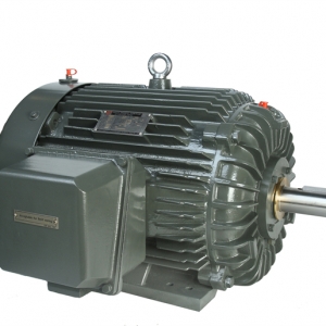 NEMA系列無火花三相異步電動機