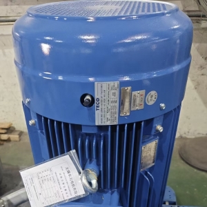 炎炎夏日，您的電機(jī)系統(tǒng)是否正在經(jīng)受“烤”驗(yàn)？