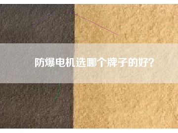 防爆電機(jī)選哪個(gè)牌子的好？