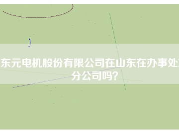 東元電機股份有限公司在山東在辦事處或分公司嗎？