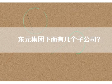東元集團(tuán)下面有幾個(gè)子公司？