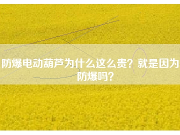 防爆電動(dòng)葫蘆為什么這么貴？就是因?yàn)槟芊辣瑔幔?></div>
                            <div   id=