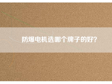 防爆電機(jī)選哪個(gè)牌子的好？