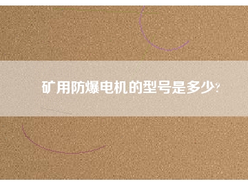 礦用防爆電機(jī)的型號(hào)是多少?