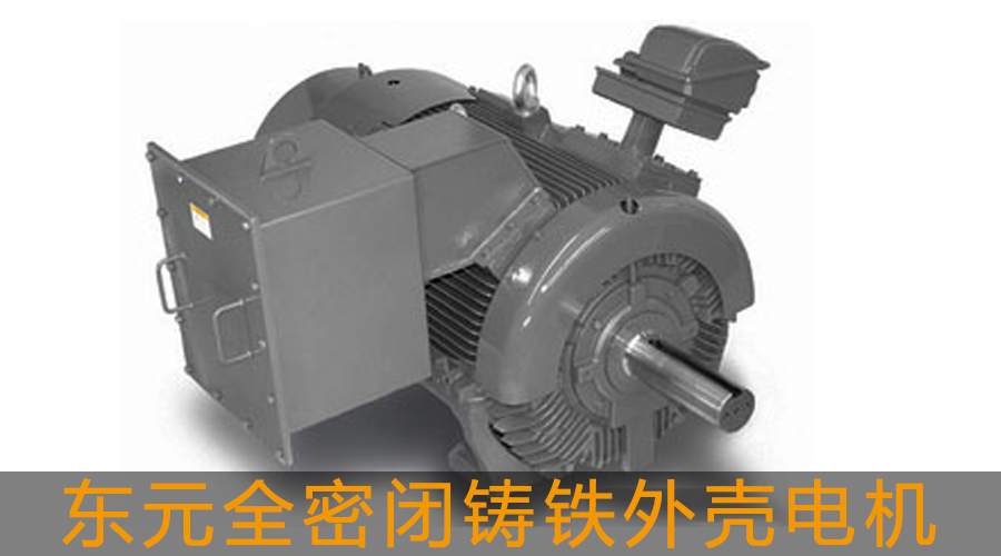 東元全密閉鑄鐵外殼電機(jī).jpg