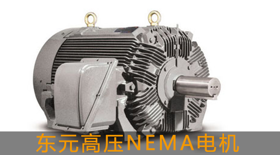 東元高壓電機(jī)NEMA電機(jī)