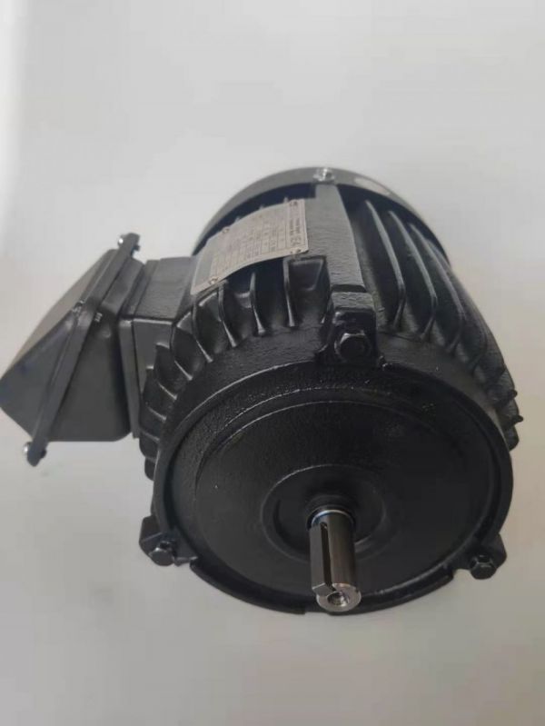 永磁電機 DVEX  45KW  1000RPM  F#225M IE4效率電機