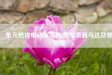 東元搶攻電動(dòng)車(chē)市場(chǎng) 今發(fā)表新馬達(dá)及驅(qū)動(dòng)器