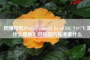 防爆電機(jī)IP65， zone 22 Ex td IIIC T197℃是什么意思？對(duì)應(yīng)國內(nèi)標(biāo)準(zhǔn)是什么
