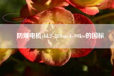 防爆電機ybk2-280m-4-90kw的國標(biāo)