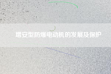 增安型防爆電動(dòng)機(jī)的發(fā)展及保護(hù)