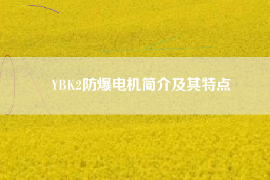 YBK2防爆電機簡介及其特點