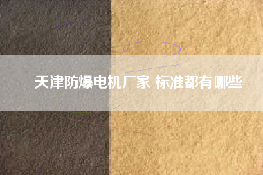 天津防爆電機(jī)廠家 標(biāo)準(zhǔn)都有哪些 天津防爆電機(jī)廠家 標(biāo)準(zhǔn)都有哪些