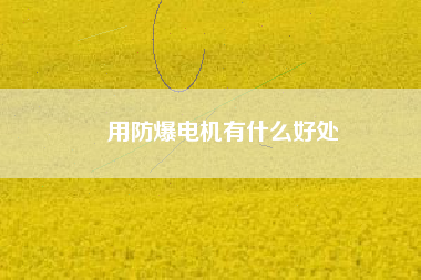 用防爆電機(jī)有什么好處 用防爆電機(jī)有什么好處