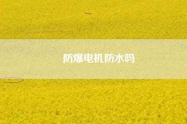 防爆電機防水嗎 防爆電機防水嗎