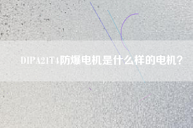 DIPA21T4防爆電機是什么樣的電機？
